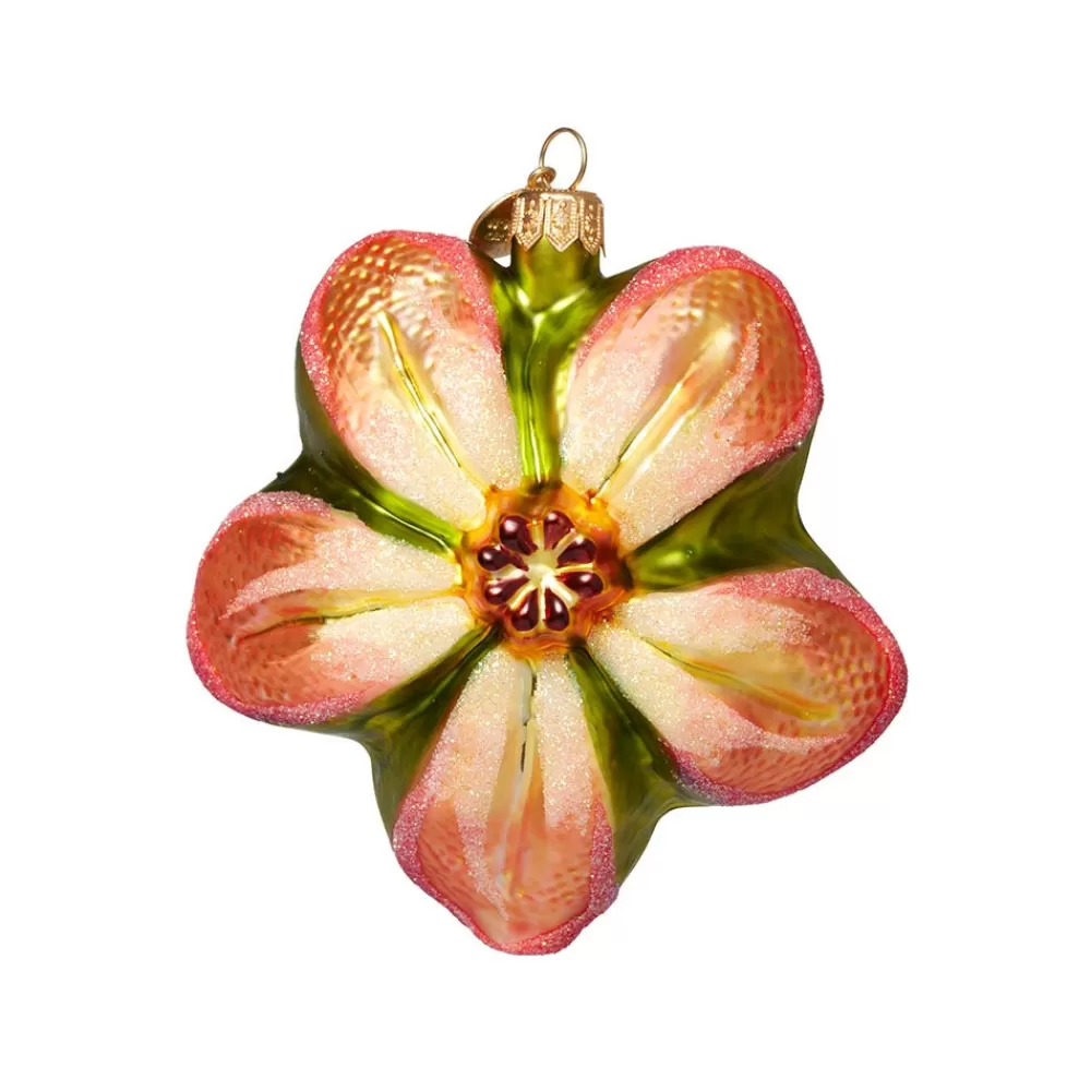 Online Orange Poinsettia Glass Ornament Ornaments