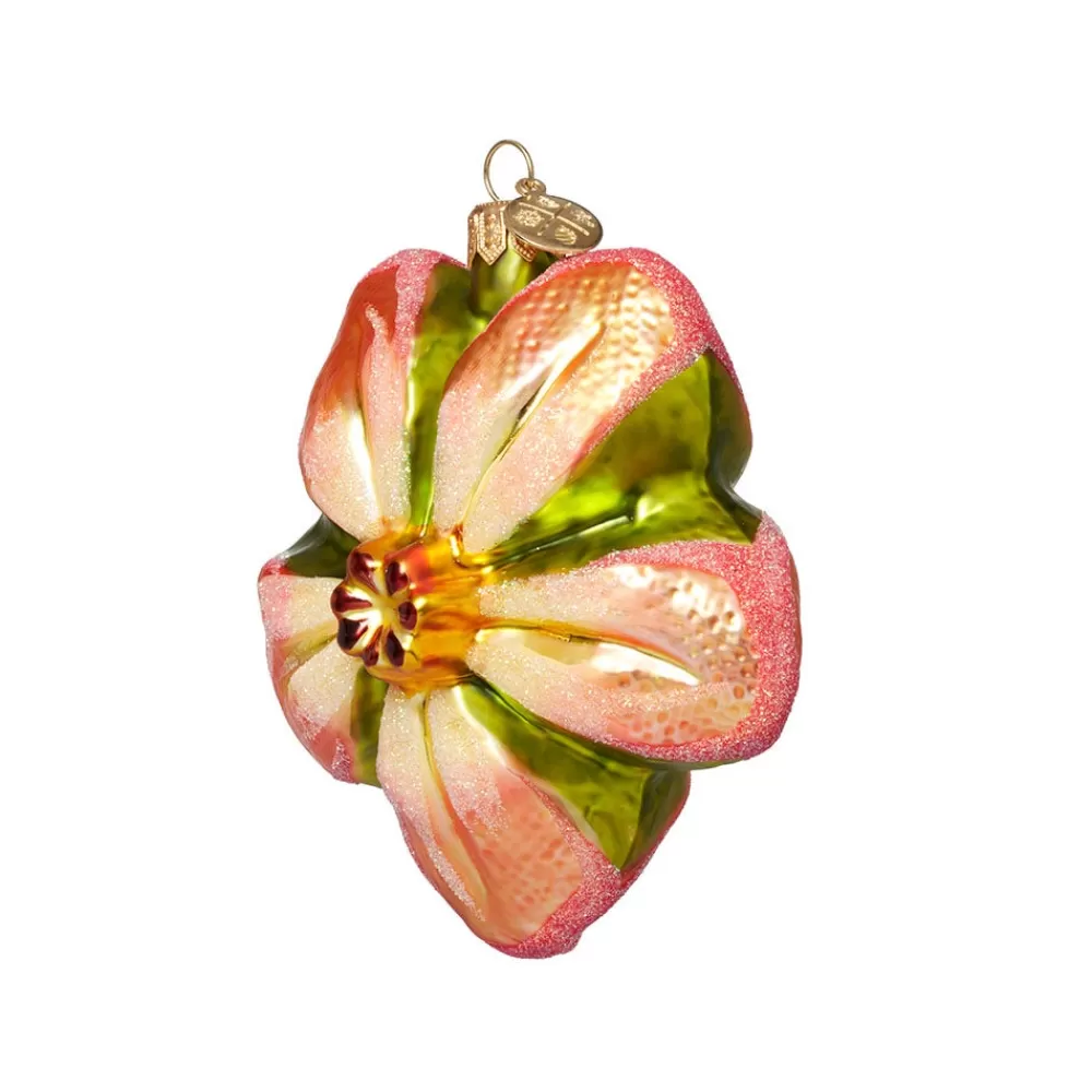 Online Orange Poinsettia Glass Ornament Ornaments