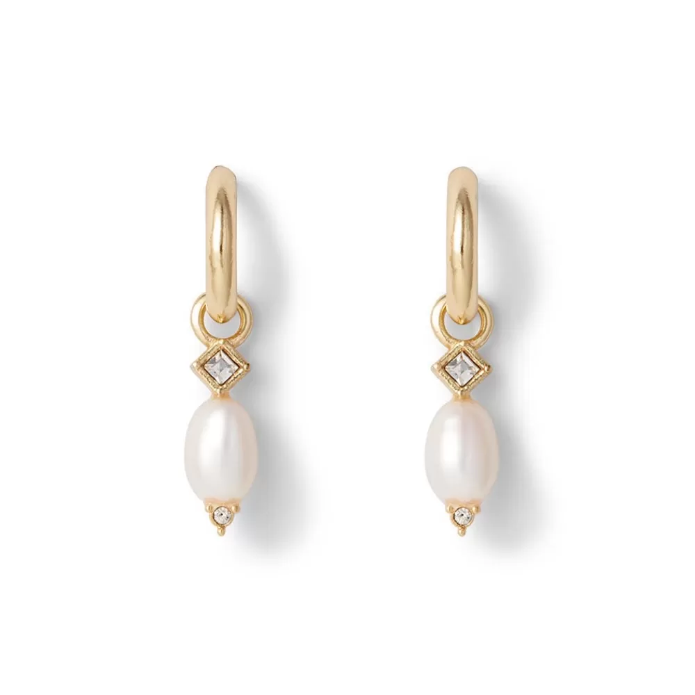 New Royal Tudor Small Hoop Earrings With Pearls Earrings