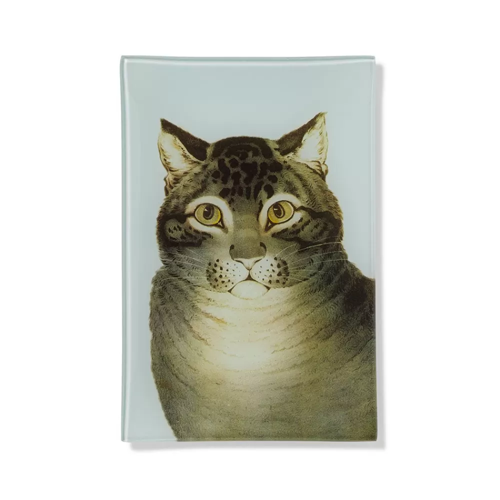 Outlet The Favorite Cat Glass Tray Decorative Accents